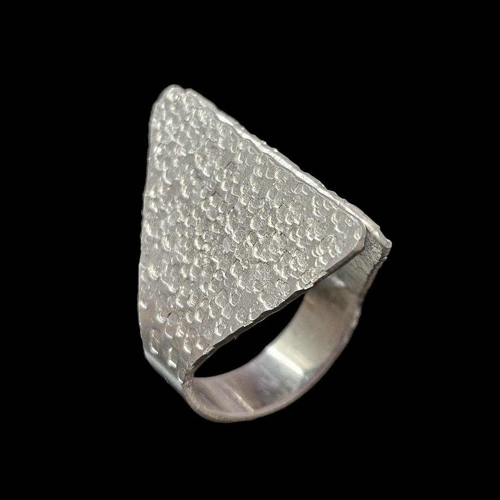 Anillo LIBRO Spark